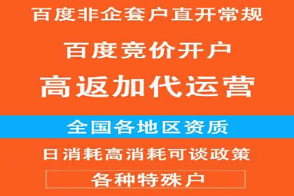 百度网络推广实战技巧：案例解析，让你轻松实现精准营销